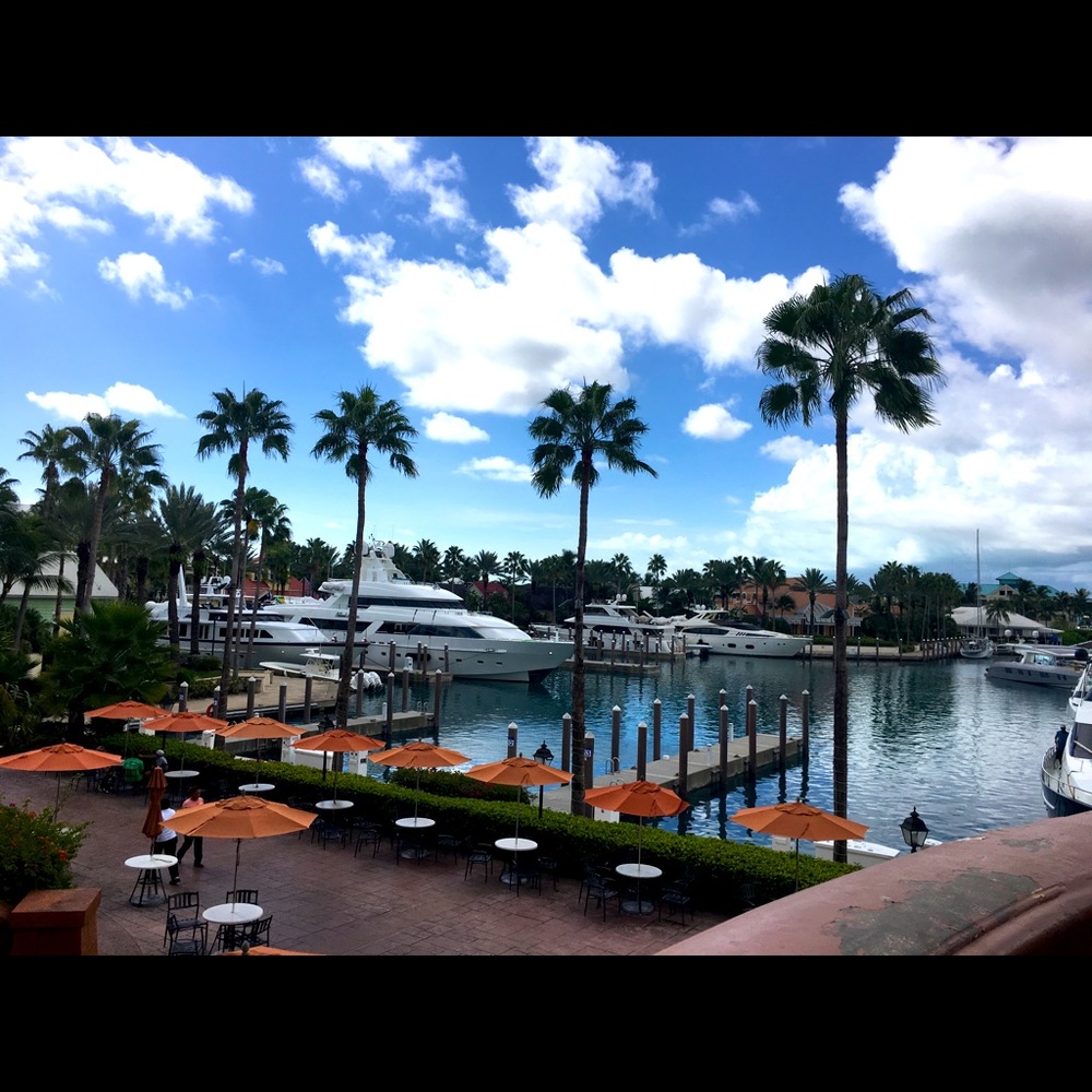 Meet your Posher, Madeline